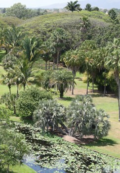 Queensland Dry Tropics